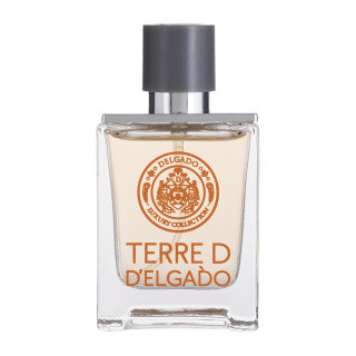 عطر جیبی مردانه دلگادو مدل Terre D حجم 25 میلی لیتر