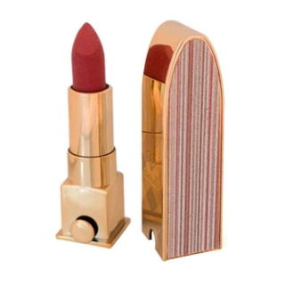 رژ لب جامد سالوته شماره 905 مدل Pure Plant وزن 4 گرم